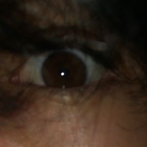 Meet your Posher, Steven